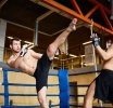 Valetudo, descripción, modalidades, reglas, competiciones, participantes, táctica